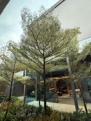 201E TAMPINES STREET 23 (D18), Shop House #491676671